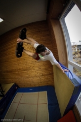 luis_training_bdg2012