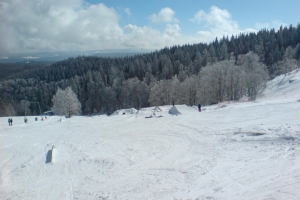 bester-park-im-schwarzwald