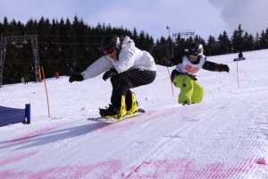 rookie tour 2010 Schönwald